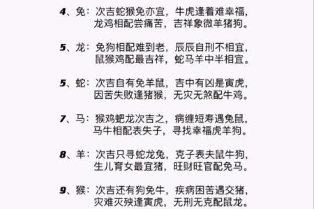 属相猪的性格特点及其与其他属相的配对