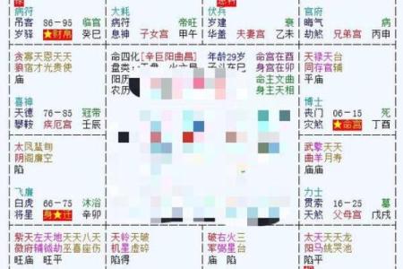 紫微斗数之财帛宫与诸星，太阳星在财帛宫是什么意思？