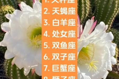 天秤座适合跟什么星座处cp