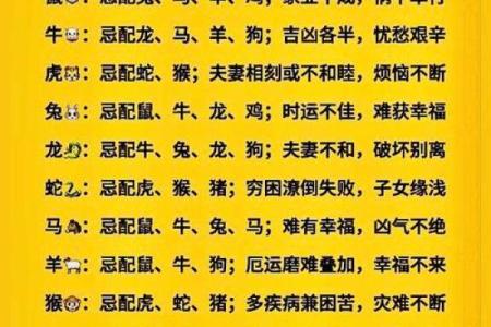 属鼠A血型的人性格与事业姻缘