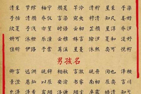起名字女孩生辰八字起名