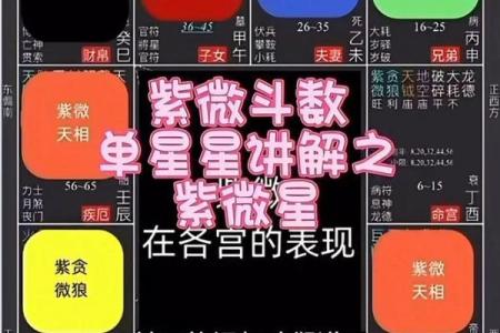 紫微斗数里怎样查小限视频 紫微斗数如何看大限？