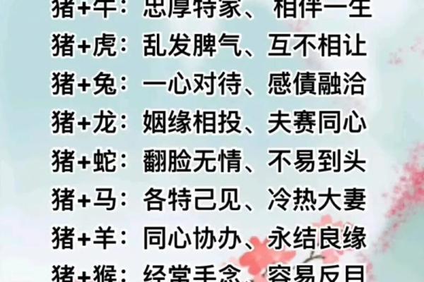 配对要谨慎的生肖组合