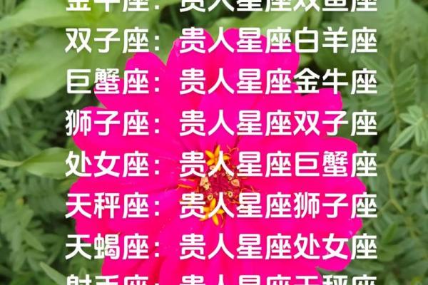 金牛座一区与水瓶座一区的星座配对