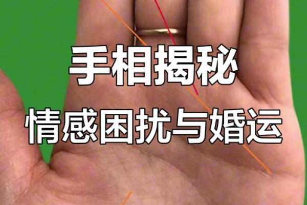 看手相算命：第二课 婚姻感情