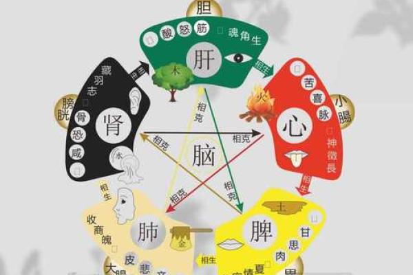 阴阳八字