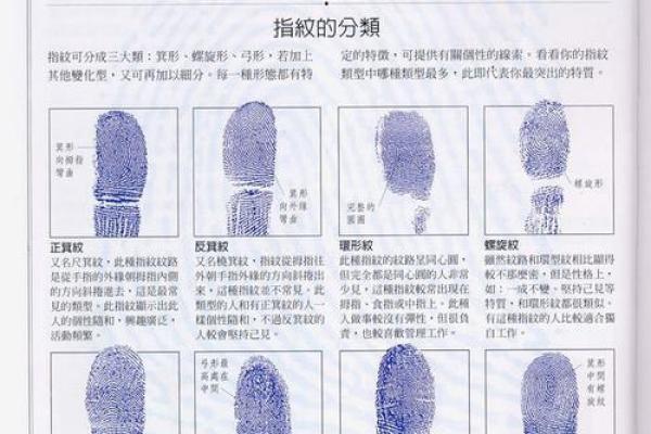 《手相学习百科》：手的轮廓特征