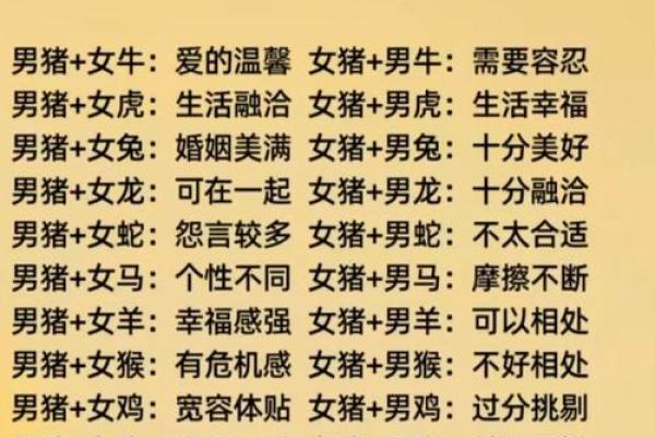 属猪的2024年结婚什么时候好 结婚吉日查询
