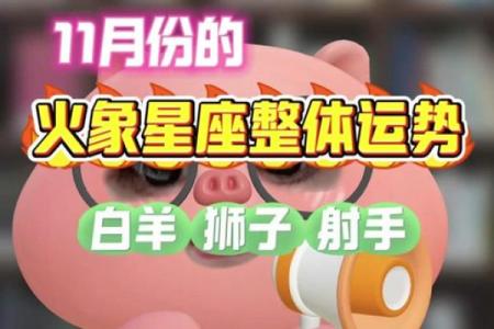 火象星座11月的运势