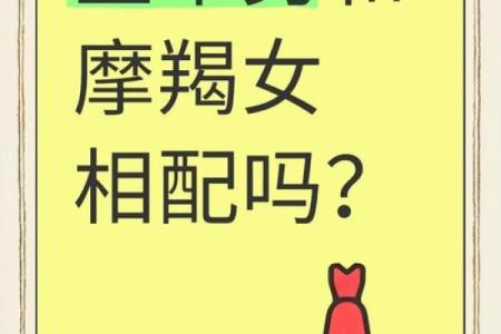 金牛女和金牛男配对指数分析