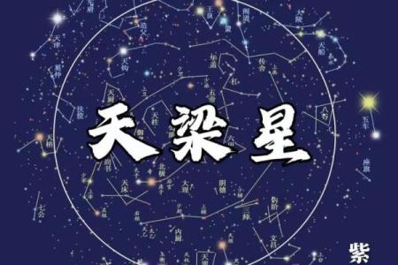 紫薇斗数夹辅