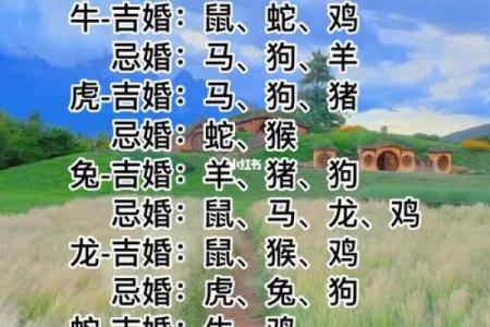生肖月份配对大揭秘，十二生肖月份怎么搭配最合适