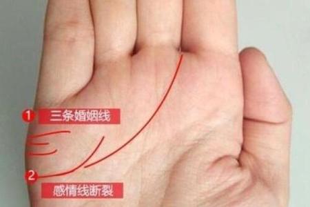 看手相算命：第二课 婚姻感情