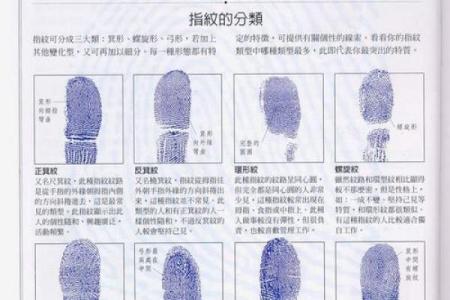 《手相学习百科》：手的轮廓特征