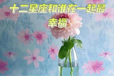 配对50分的星座会幸福吗