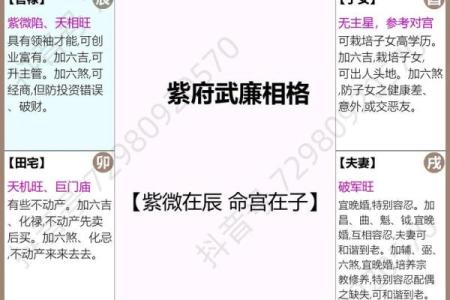 紫微斗数之田宅宫与诸星，巨门星在田宅宫是什么意思？