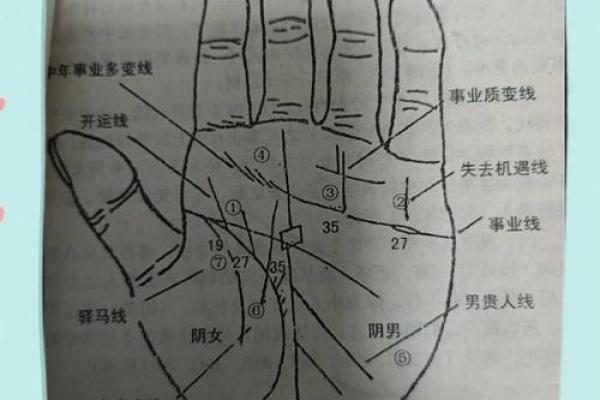 《手相学习百科》：手相重要辅线