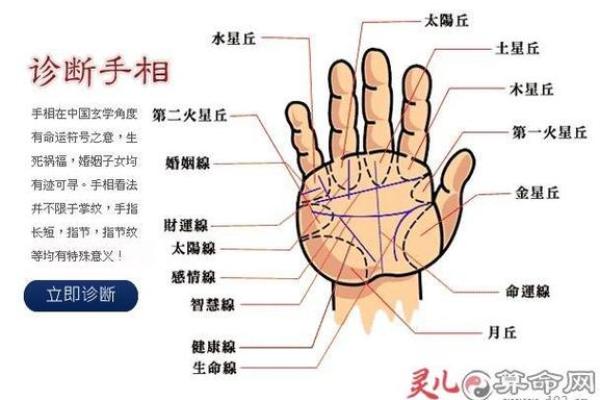 女人手相算命图解：嫁得好的手相