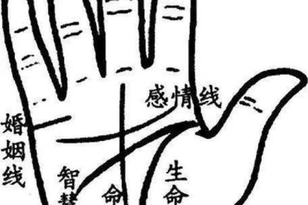 女人手相算命图解：嫁得好的手相