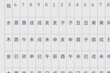 中国紫薇斗数排盘