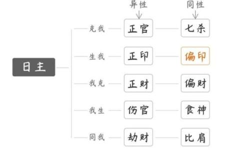 自学八字第五课：初学八字里的十神批命诀，入门简单，即学即用
