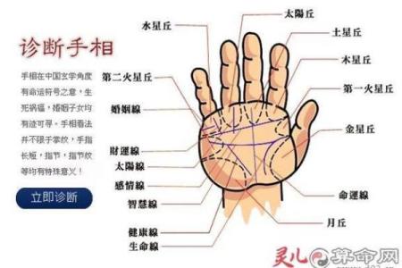 女人手相算命图解：嫁得好的手相