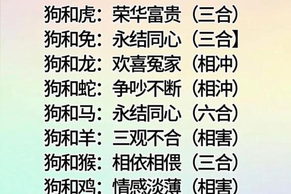 生肖配对是什么-合婚时生肖配对有多大影响
