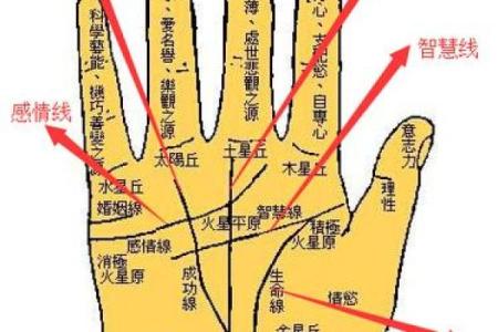 女生算命看左手吗