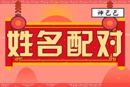 阿启姓名配对新浪 阿启 姓名配对？