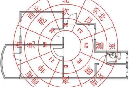 如何使用风水学中的原理对肺部气息进行优化