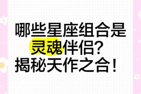 哪些星座是团宠