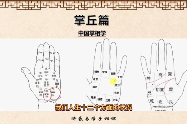 《手相学习百科》：指尖与指节