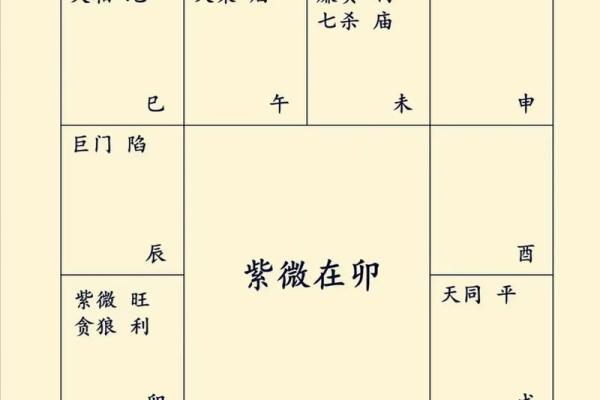 怎么查自己的紫薇星座