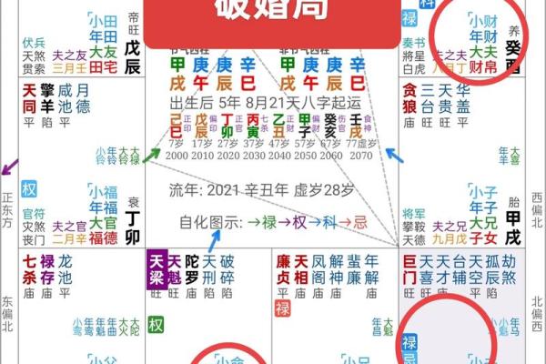 紫薇星左辅右弼入夫妻宫