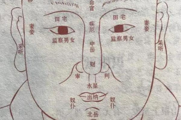 面相算命眼睛