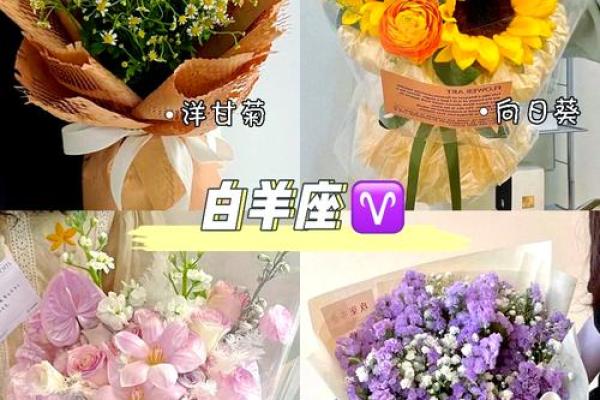 十二星座适合什么盆栽好看的花