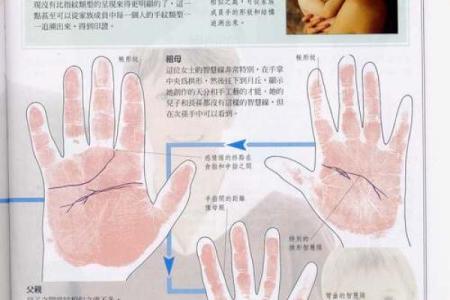 《手相学习百科》：指尖与指节