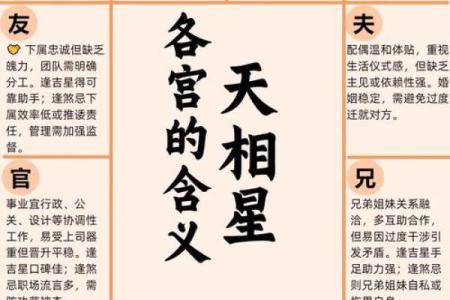 紫薇斗数财帛天相得