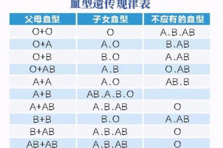 哪种血型智商比较高呢