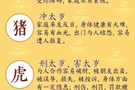 看斗算命，准不准看了便知！