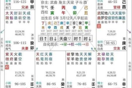 免费看紫薇斗数