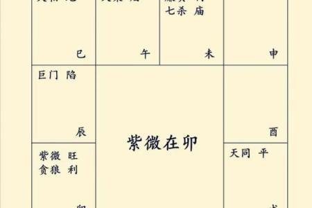 怎么查自己的紫薇星座