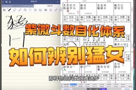 紫薇斗数怎么看未来妻子