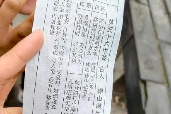 圣地圣母灵签解签大全
