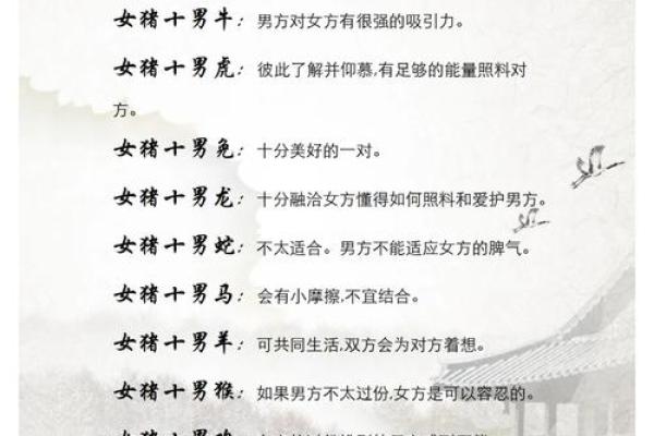 生肖配对表 兔和猪适合在一起吗