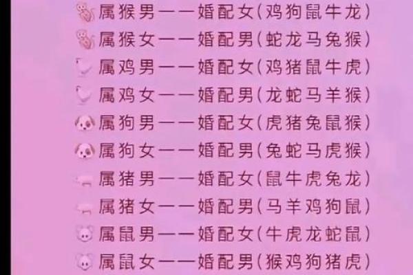 生肖配对表 兔和猪适合在一起吗
