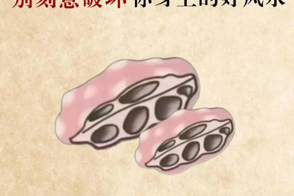 【民俗】介绍一些搬家前净宅的方法