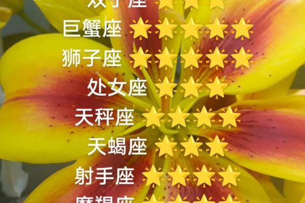 今日各星座的运势如何
