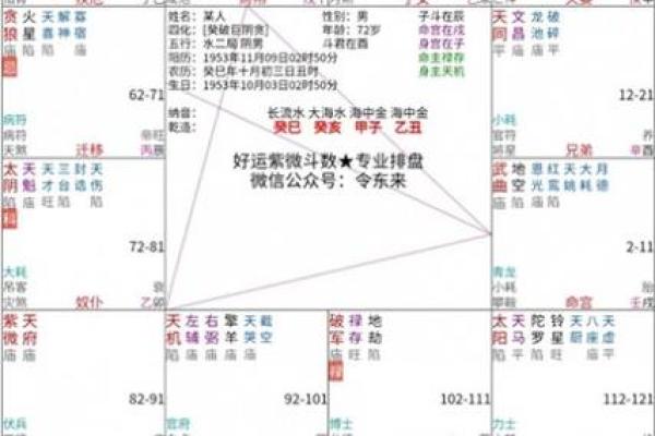 令东来紫薇斗数