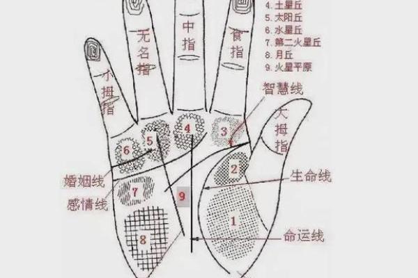 手上胎记算命图解
